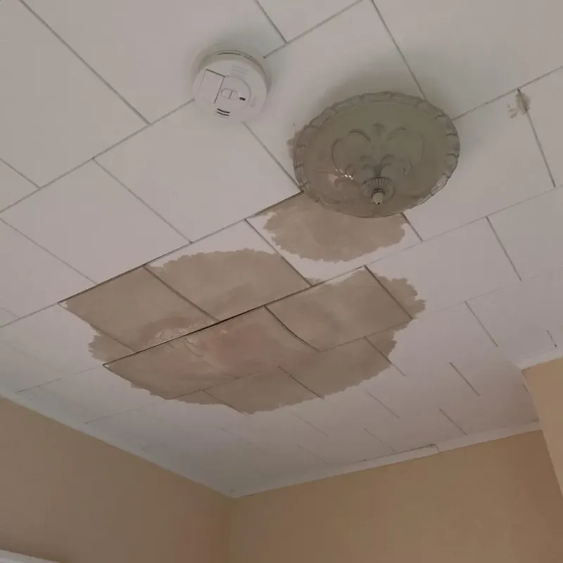 Ceiling Water Damage Repair in Burns Flat, OK