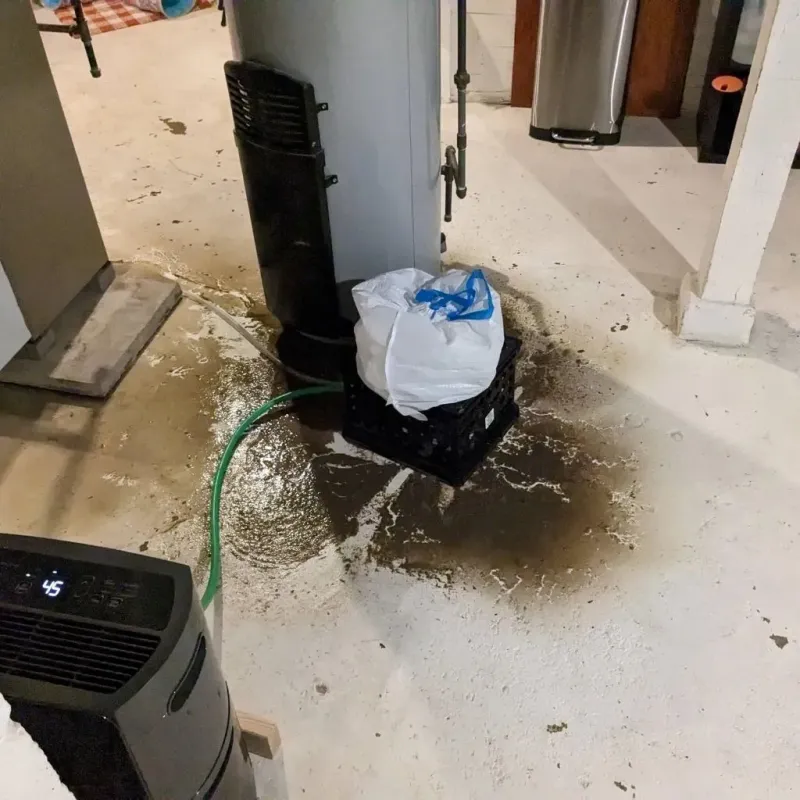 Sewage Backup Cleanup Service in Burns Flat, OK